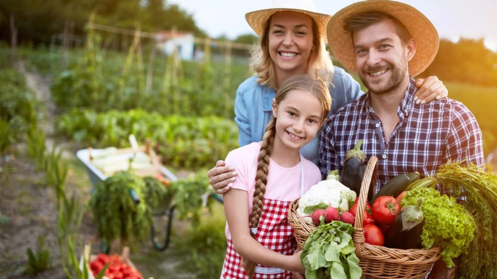 Сельское хозяйство люди. Радостный фермер. Крестьянское фермерское хозяйство. Американский фермер. Семья с урожаем.