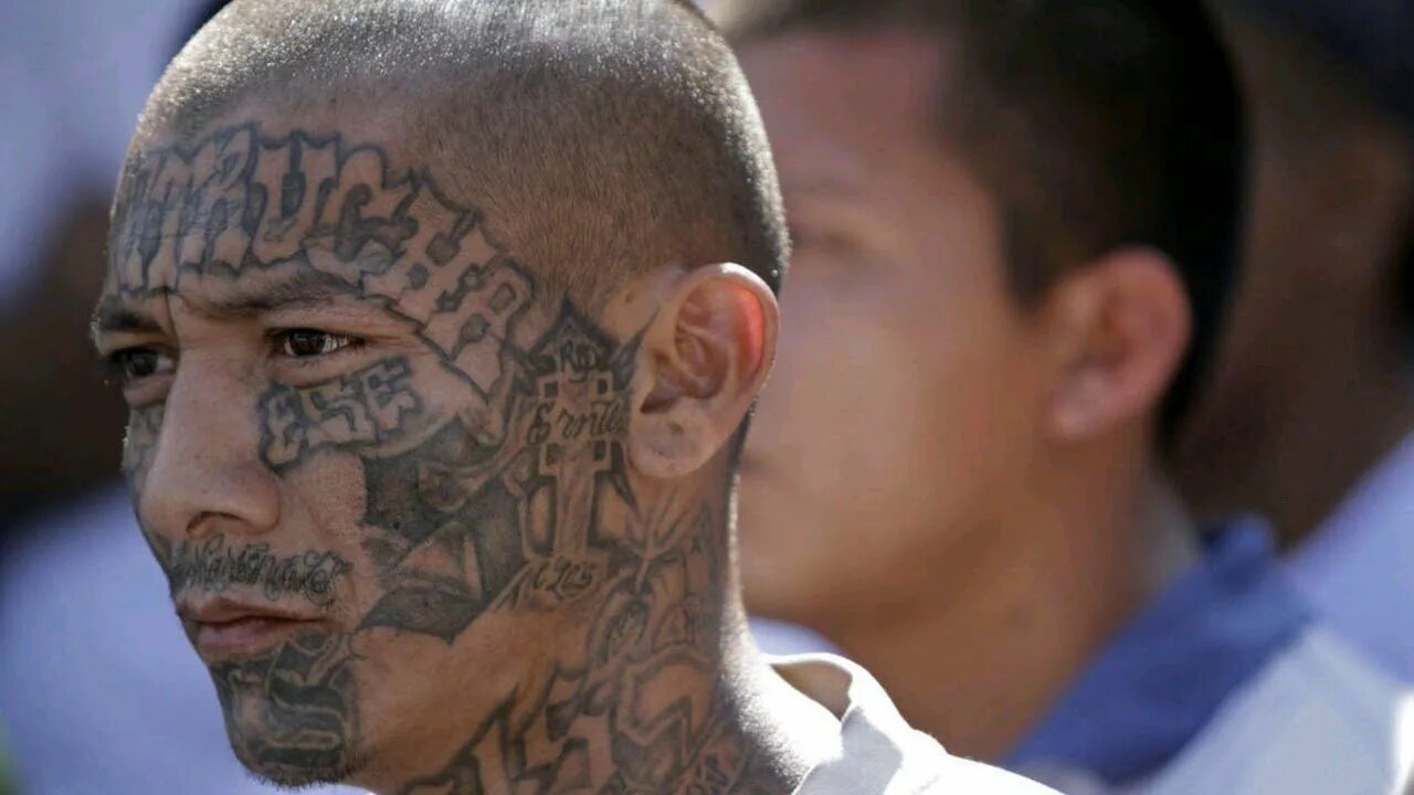 опасные латинской америки. латиносы банда cortez nike. опасные латинской америки. Nike cortez ms 13. опасные латинской америки.