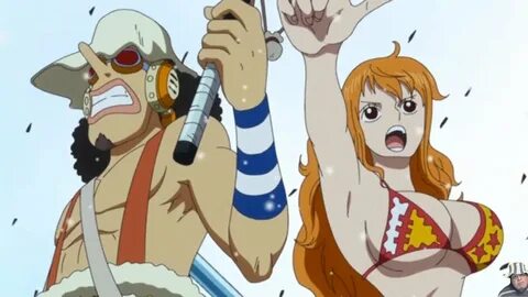 One piece nsfw