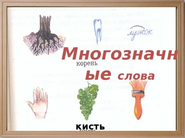 Составить многозначное предложение. Кисть многозначное слово. многозначные слова. многозначные слова рисунки. многозначные слова для дошкольников.