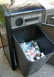 Newspapers and cans