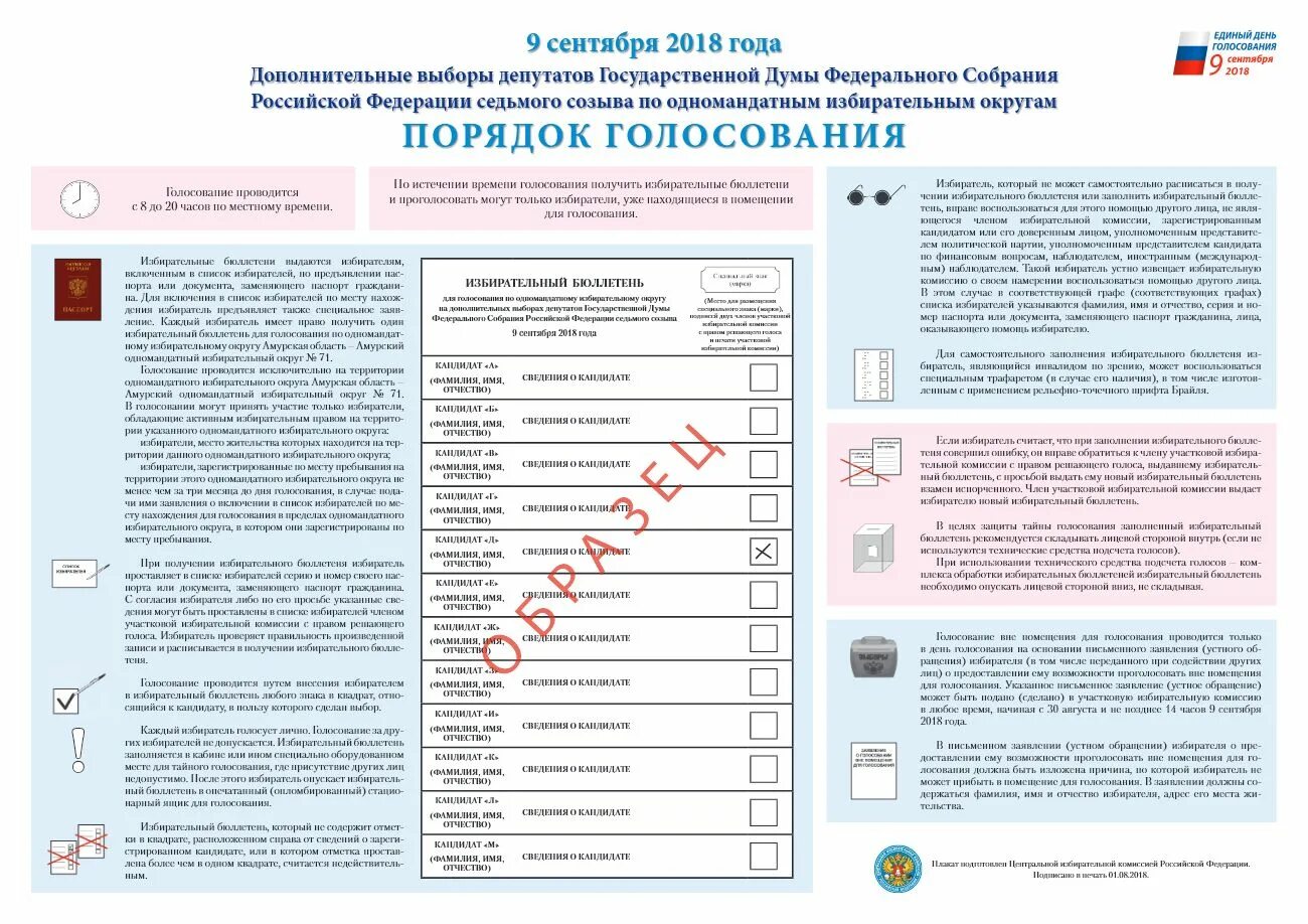 Ошибка бюллетень выдан. Порядок заполнения избирательного бюллетеня. Порядок голосования на выборах. Плакат порядок голосования. Избирательный бюллетень для голосования на выборах.