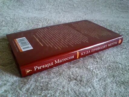 Куда приводят мечты книга