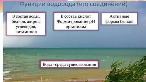 Роль водорода в организме