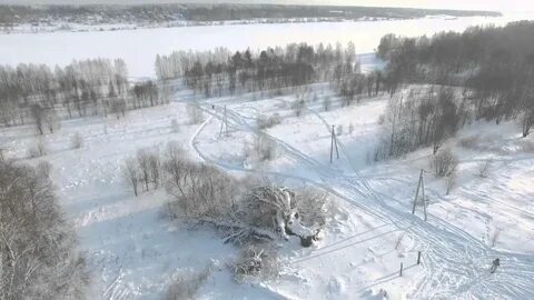 Мысли разные оленино