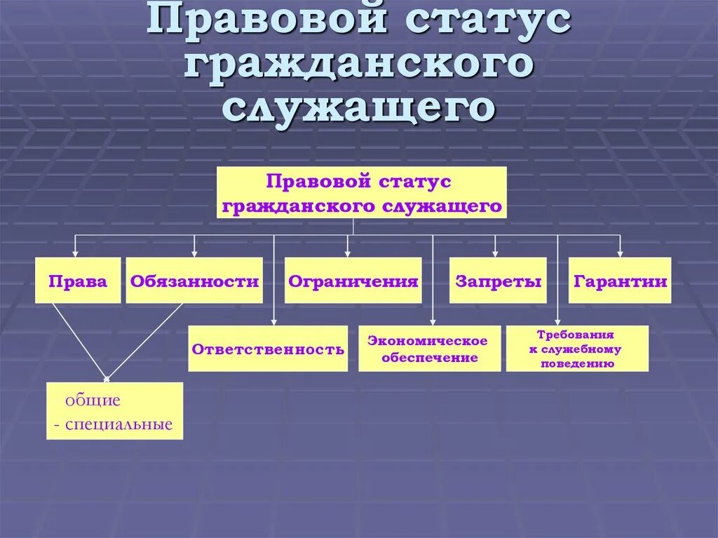 Административно-правовой статус государственного служащего. Административно-правовой статус государственного служащего понятие. Структура правового статуса государственного служащего. Правовой статут государственного служащего.