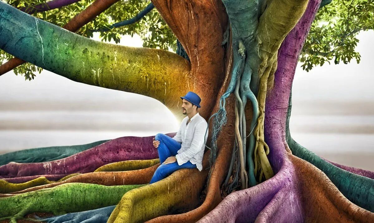 Природа креатив. Дом дерево человек живопись. Древо желаний. Древо путешественников. Our colorful