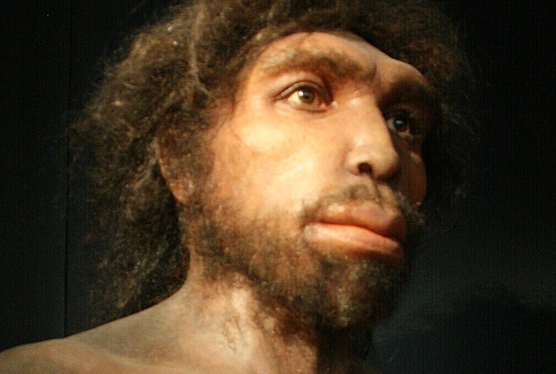 Human h. Хомо сапиенс. Человек Родезийский homo rhodesiensis. Человек разумный homo sapiens. Хомо сапиенс разумный.