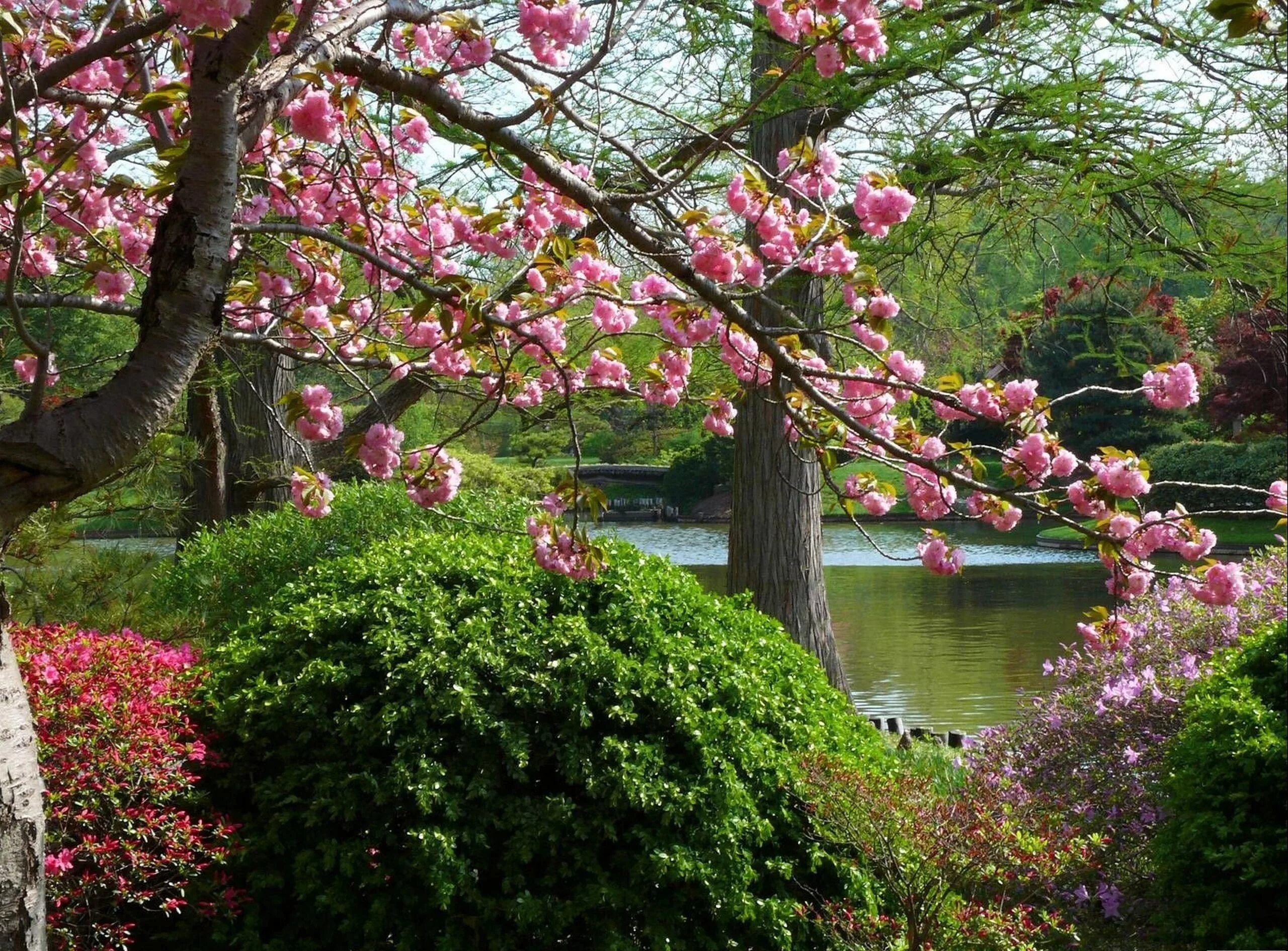 Spring views