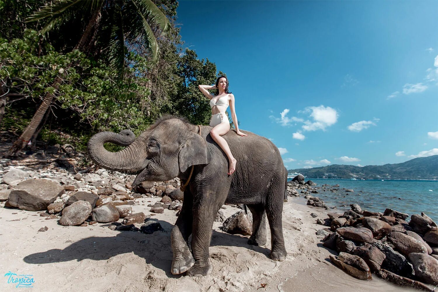 Elephant пхукет. Тайланд Пхукет слоны. Слоновая ферма на Пхукете. Фотосессия со слонами Пхукет. Заповедник слонов Пхукет.