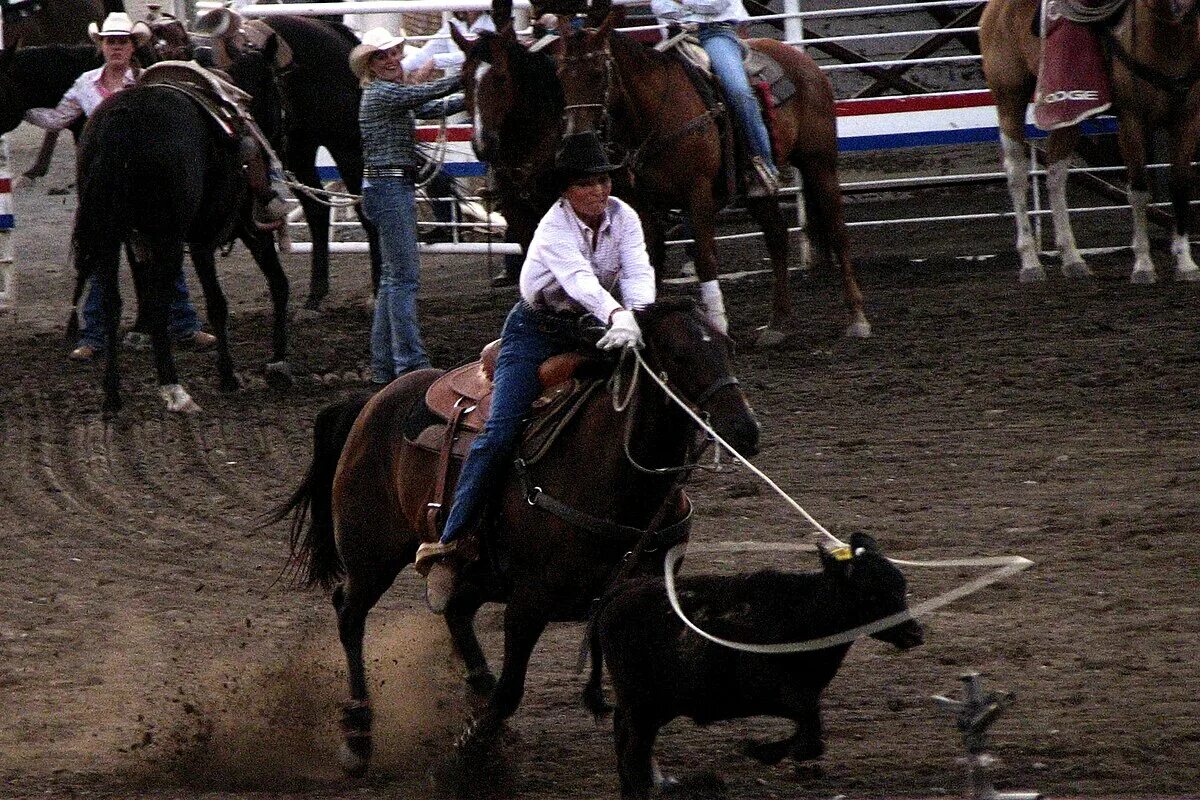 Rodeo speed