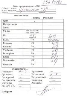 Лейкоциты в моче 15 что это значит