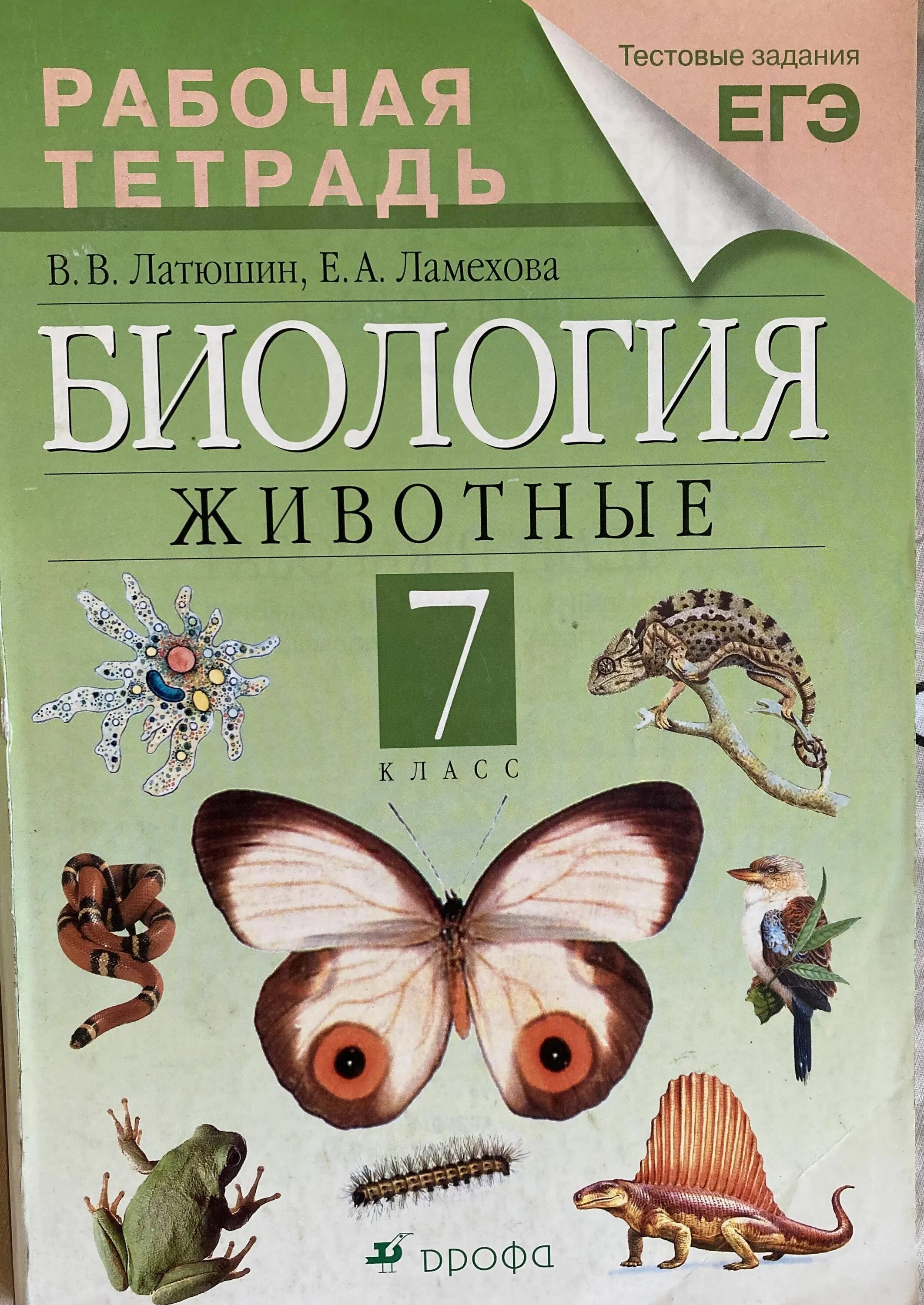 Биология 9 класс человек. Учебник по биологии 7 класс шапкин. Рабочая тетрадь 8 класс биология пасечник животные. Рабочая тетрадь 8 класс биология пасечник животные. Биология рабочая тетрадь.