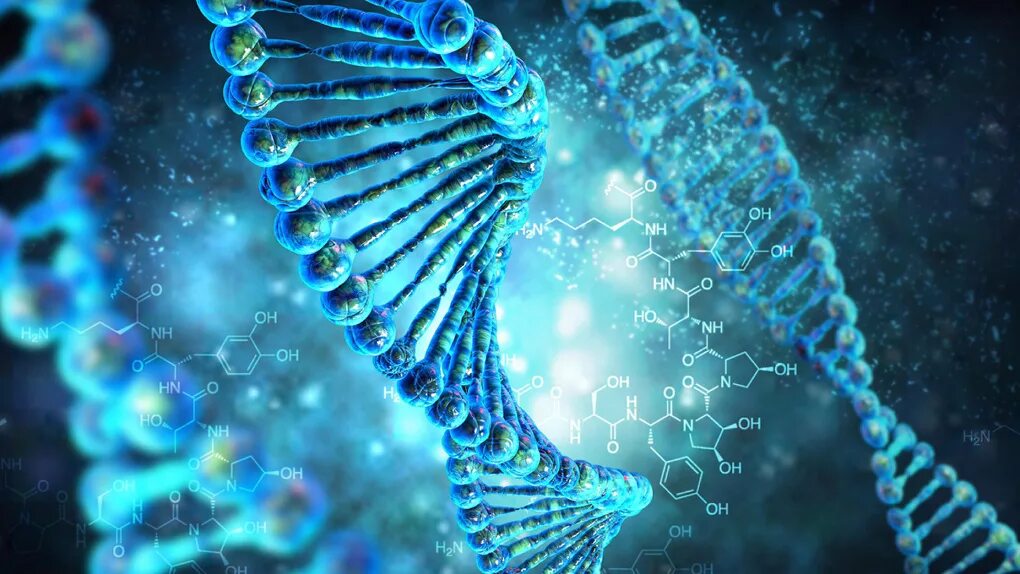 Генетическая информация. Днк и ее человек. Генетика днк. Днк crispr. Лестница днк.