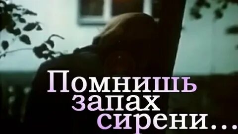 Запах сирени напомнит мне молодость