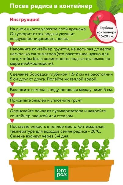 Посадка редиса в 2025. Схема посадки редиски. схема посева семян. посадка редиса в контейнер. контейнеры для садоводов переделка.