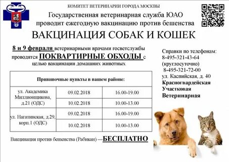 Первая прививка котенку от бешенства