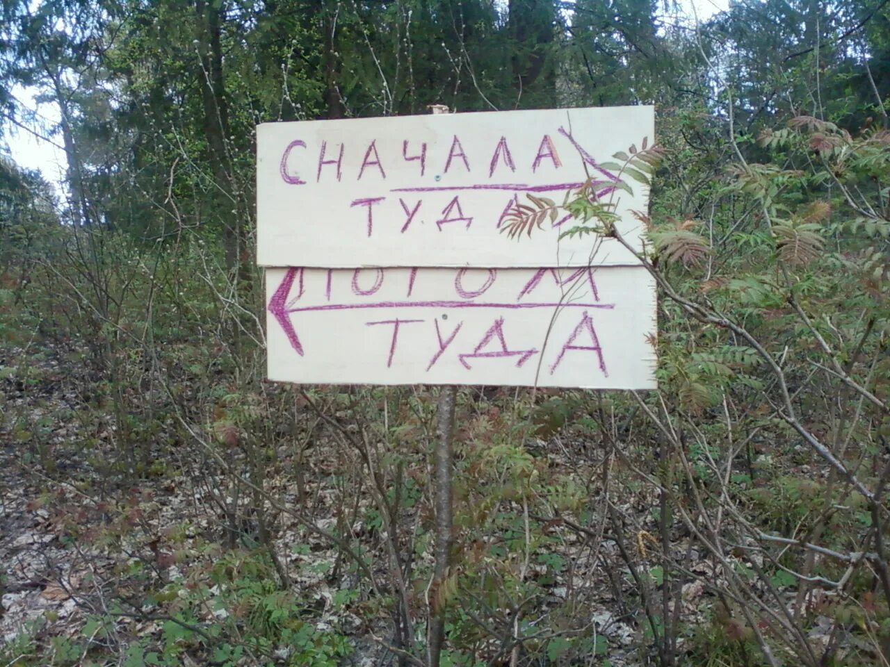 Медведь и зайцы. Идет какашка по лесу. Анекдот про зайца и медведя. Заблудился карикатура. Медведь прикольные картинки.