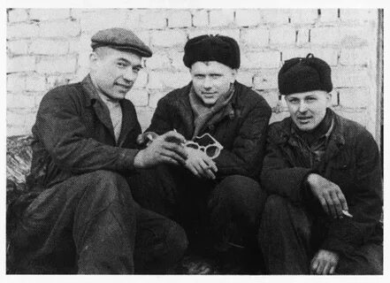 Родственник стрельцов