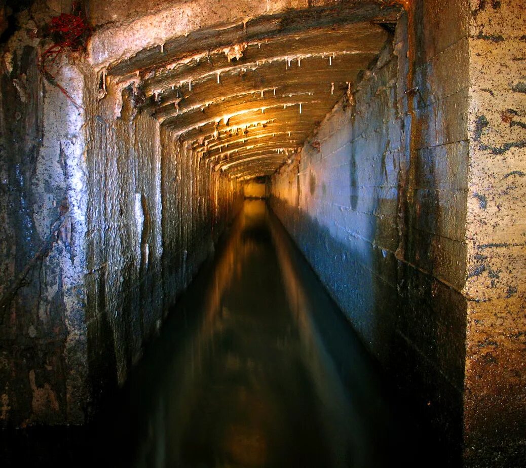 К чему снится выход из здания. К чему снится выход из здания. К чему снится выход из здания. Чарли морли осознанные сновидения. Michael vincent manalo.