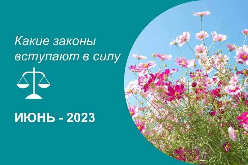 Какие законы вступают в силу в июне. Изменения в законах в июне 2023. Изменения в законах в июне 2023. Изменения в законах в июне 2023. 2023.