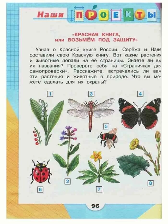 Окружающий мир 2 класс рабочая тетрадь бабочки. Окружающий мир 2 класс учебник 1 часть Плешаков красная книга. Учебник окружающий мир 2 класс Плешаков красная книга. Окружающий мир проекты из учебника. Проекты по окружающему миру 2 класс Плешаков.