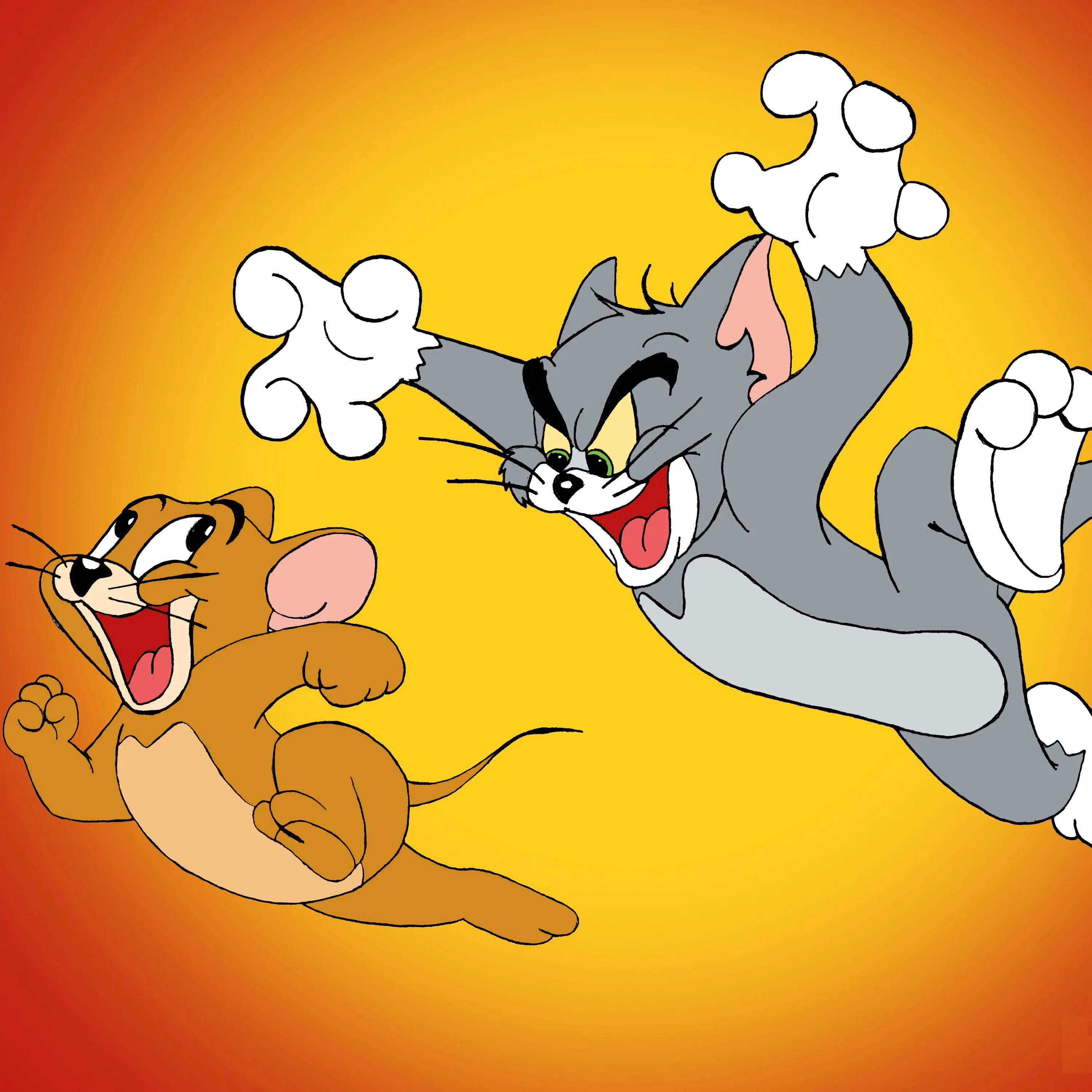 Tom vs jerry. Tom and jerry игры джерри. том и джерри cartoon network. том и джерри вектор. том и джерри картинки игра.