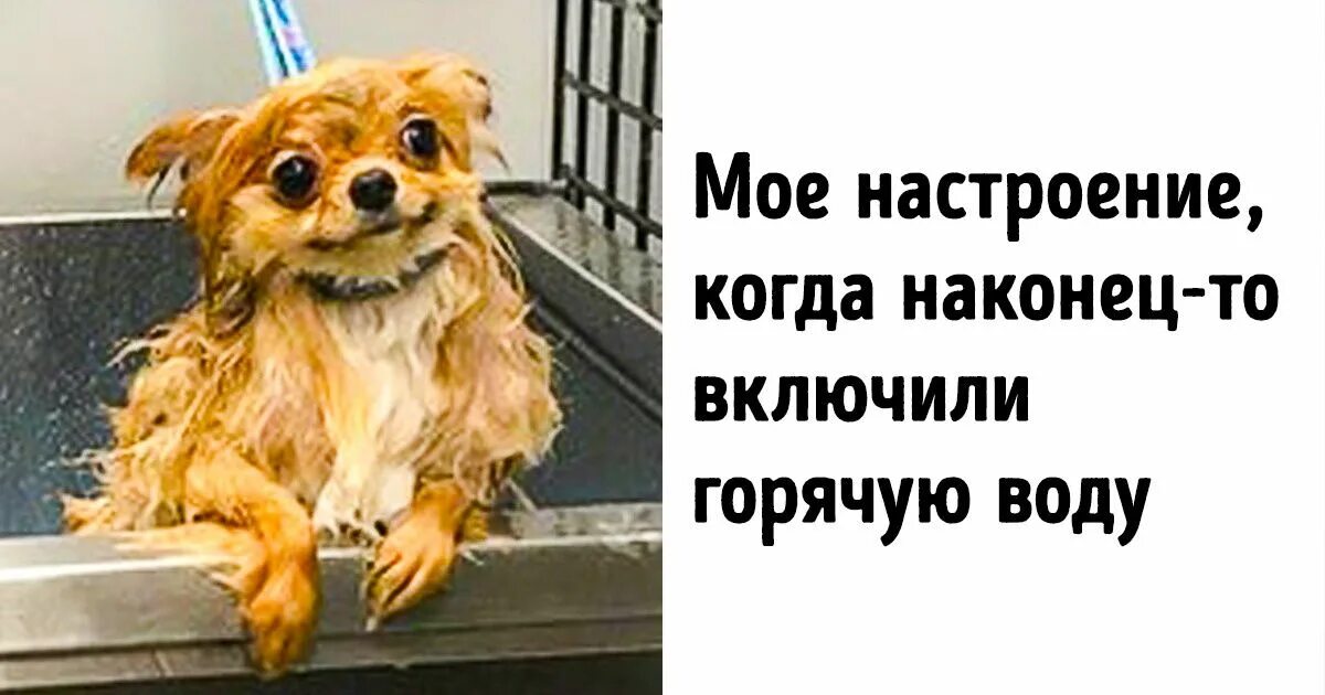 Включи теплей