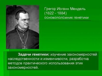 Мендель как читается