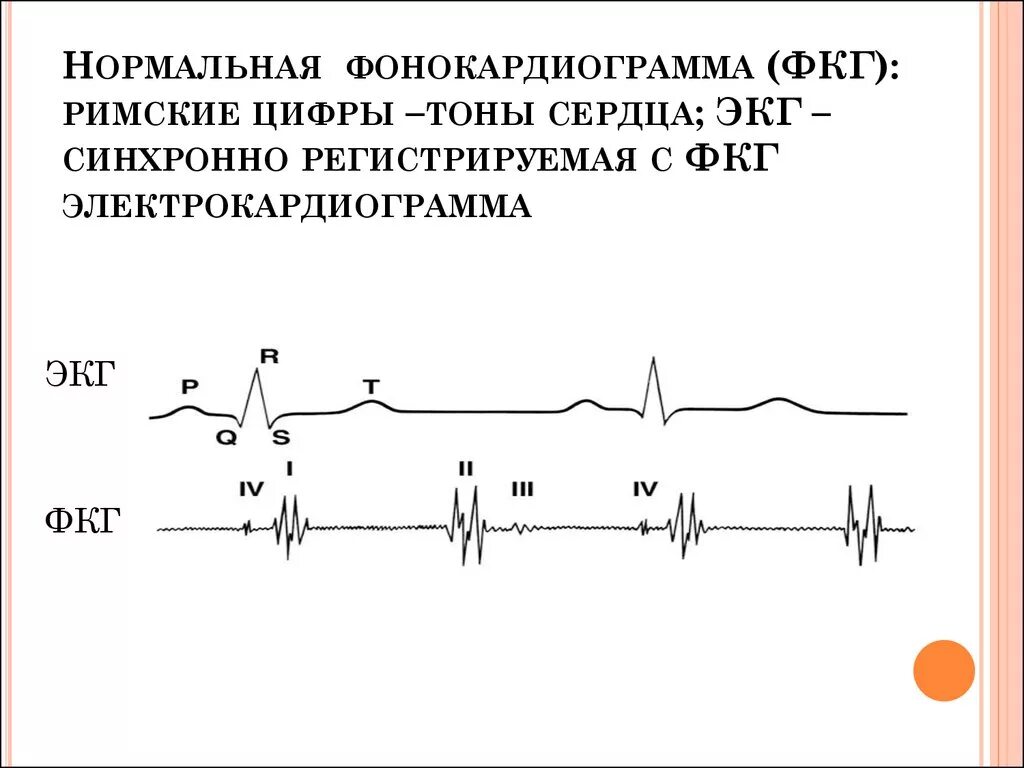 Графическое изображение фкг. Графическое изображение фкг