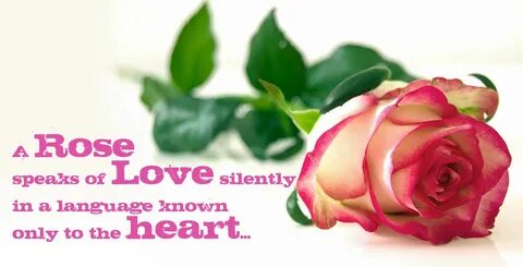 To be rose