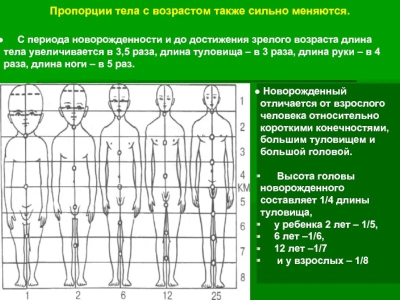 Изменится ли размер