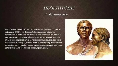 Образ жизни кроманьонцев