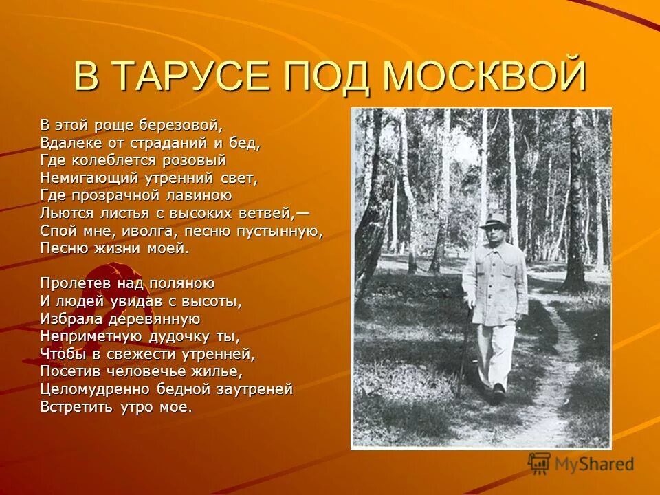 А пермяк сказка березовая роща. Утро заболоцкий березовая роща. Стихотворение в этой роще березовой заболоцкий. В этой роще березовой текст. Берёзовая роща стихотворение пермяк.