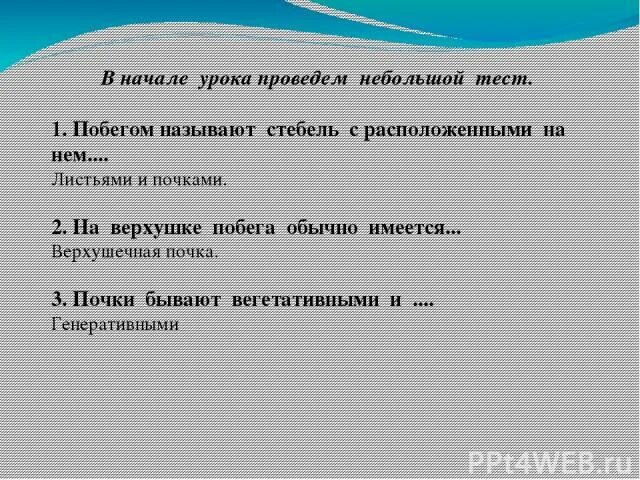 На верхушке побега обычно имеется. Закончите определение побегом называют. На верхушке побега обычно имеется почка. На верхушке побега обычно располагается.