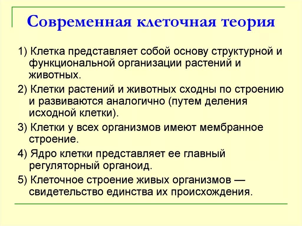 Клеточная теория строения организмов. Современная клеточная теория. Клеточная теория и современная клеточная теория. Современная теория клетки. Теория строения организмов.