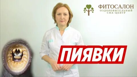 Международный центр пиявки