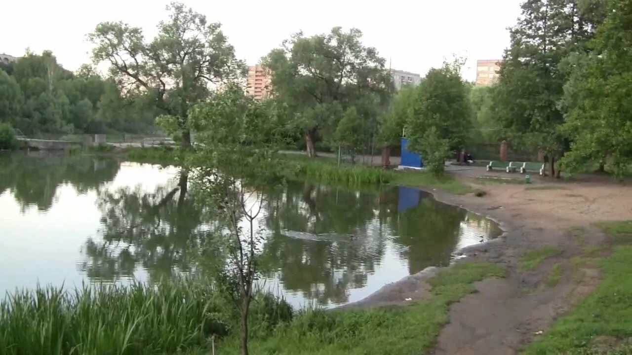 Балашихинский р