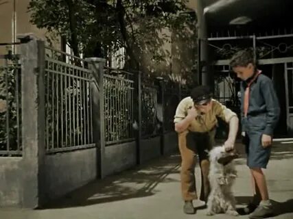 Подкидыш на дзене