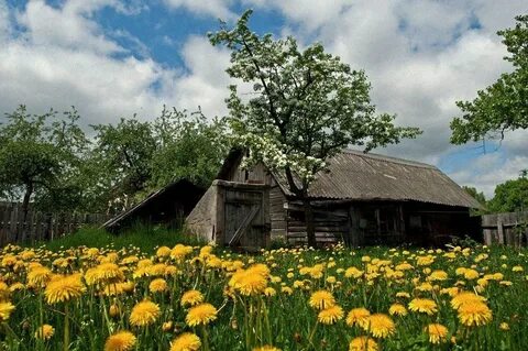 Красивые деревенские пейзажи