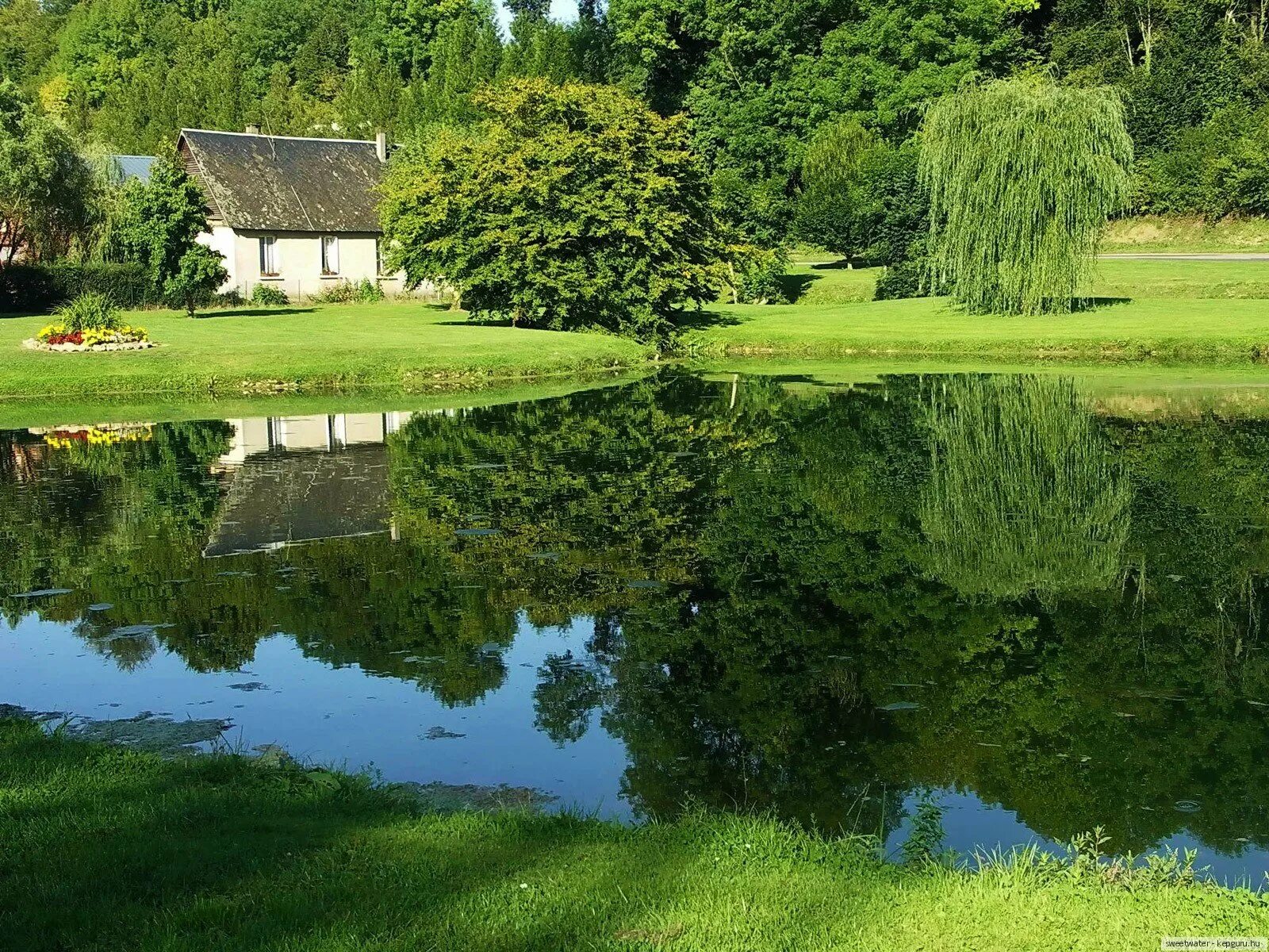 Речка в саду. Красивый пруд. Пейзаж с водоемом. Хелен парк+ ландшафт. Ива плакучая серебристая.