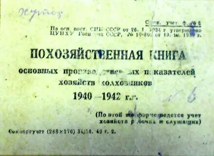 Похозяйственные книги это