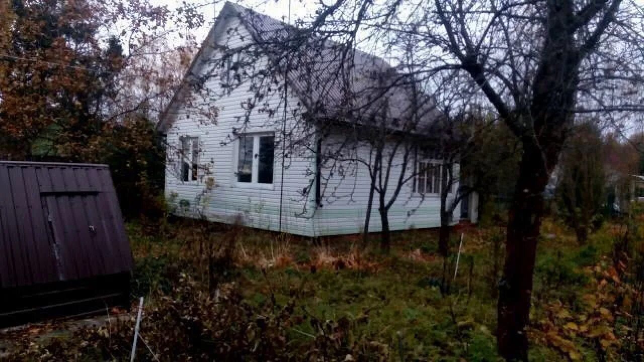 Дачи победа. Снт дачное мк кпсс. Снт апрелевка. Апрелевка снт мамры. Снт апрелевка.