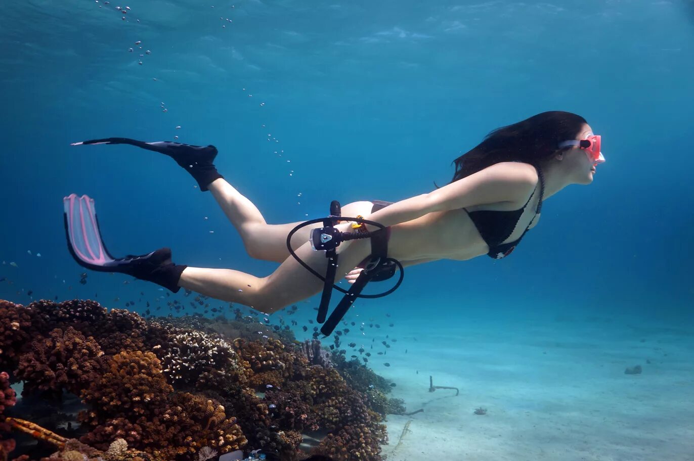 Глубина погружения. Фуджейра дайвинг. Тарек омар дайвинг. Дайвинг лайта. Погружение в воду.