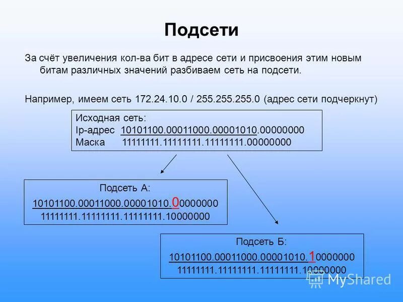 Содержимое подсети. Содержимое подсети