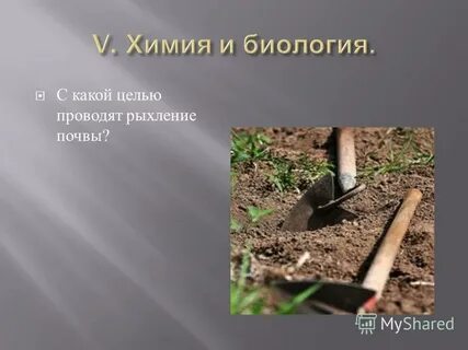 Сообщение роль рыхления для растений