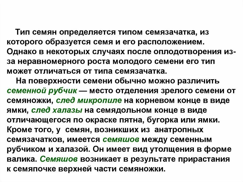 Семена двудольных растений с эндоспермом и периспермом. Семена двудольных растений с эндоспермом и периспермом. Типы семян. Схема по семенам. Типы семян.