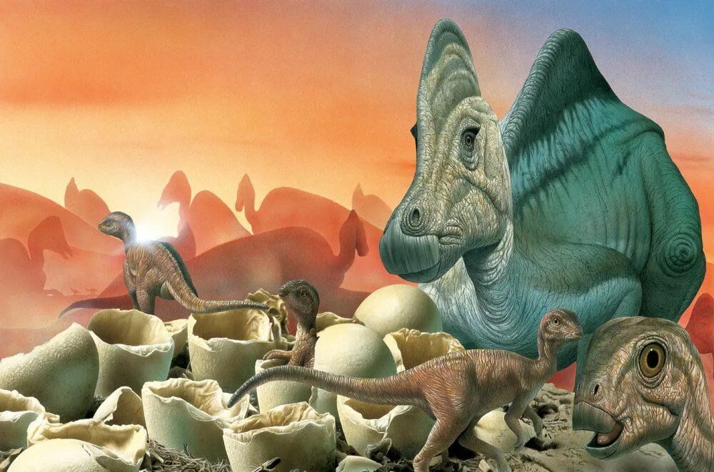 Диплодок детеныш. Динозавры и их яйца. Динозавр с яйцом.