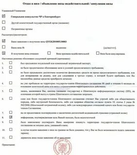 Visa подала заявку