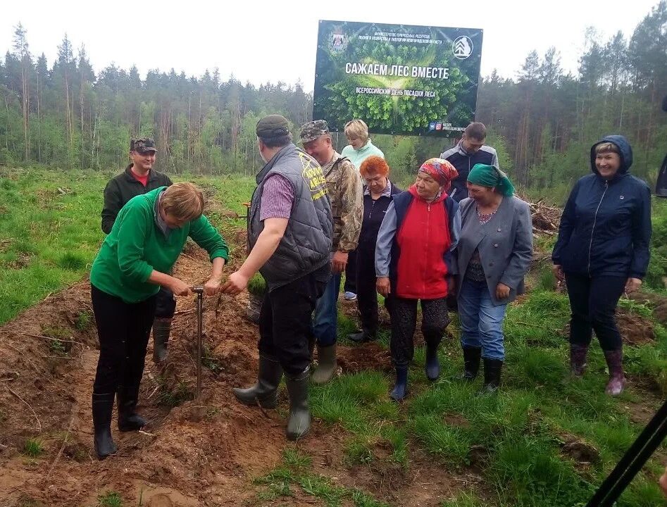 Министерство лесного хозяйства Нижегородской. Министерство лесного хозяйства Арзамас. Лесхоз Нижегородской области. Сайт минлесхоза нижегородской